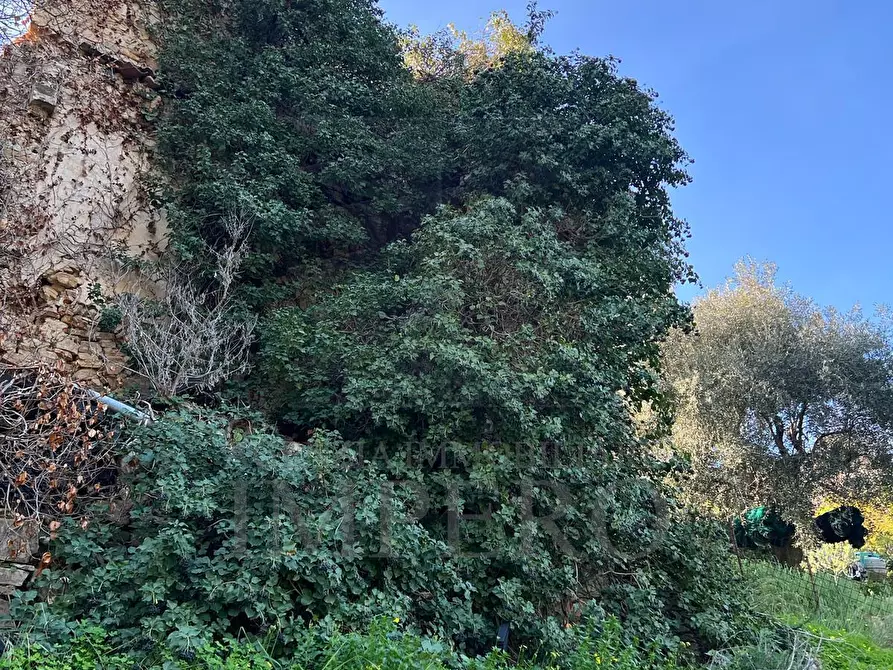 Immagine 23 di Villa in vendita  in via silvio peglio snc a Bordighera