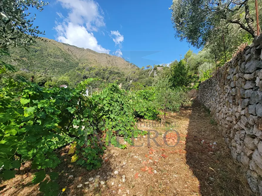 Immagine 70 di Casa bifamiliare in vendita  in Via Nazionale 8 a Airole