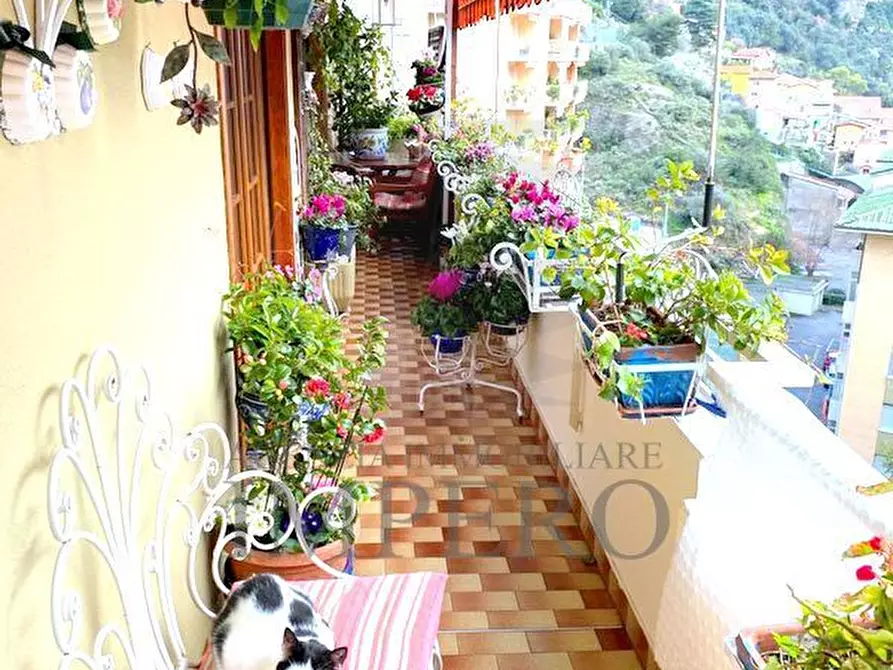 Immagine 22 di Quadrilocale in vendita  in Via Eugenio Montale a Ventimiglia