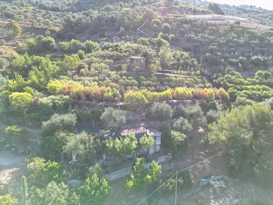 Immagine 7 di Terreno agricolo in vendita  in via provinciale 44 a San Biagio Della Cima