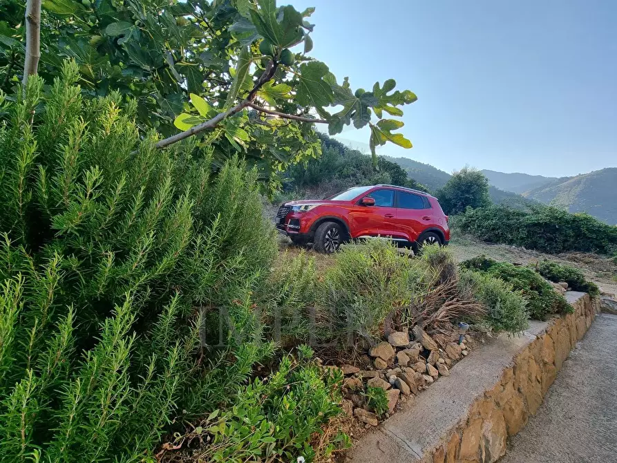 Immagine 8 di Villa in vendita  in Corso Francia 108 a Ventimiglia