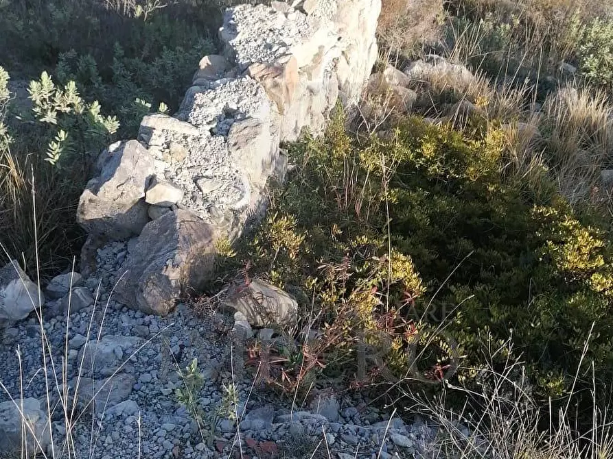 Immagine 22 di Terreno agricolo in vendita  in Via alla Stazione 40 a Ventimiglia