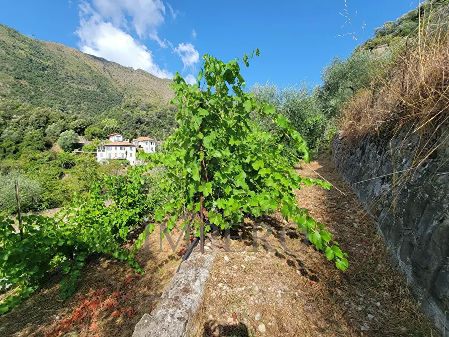 Immagine 68 di Casa bifamiliare in vendita  in Via Nazionale 8 a Airole