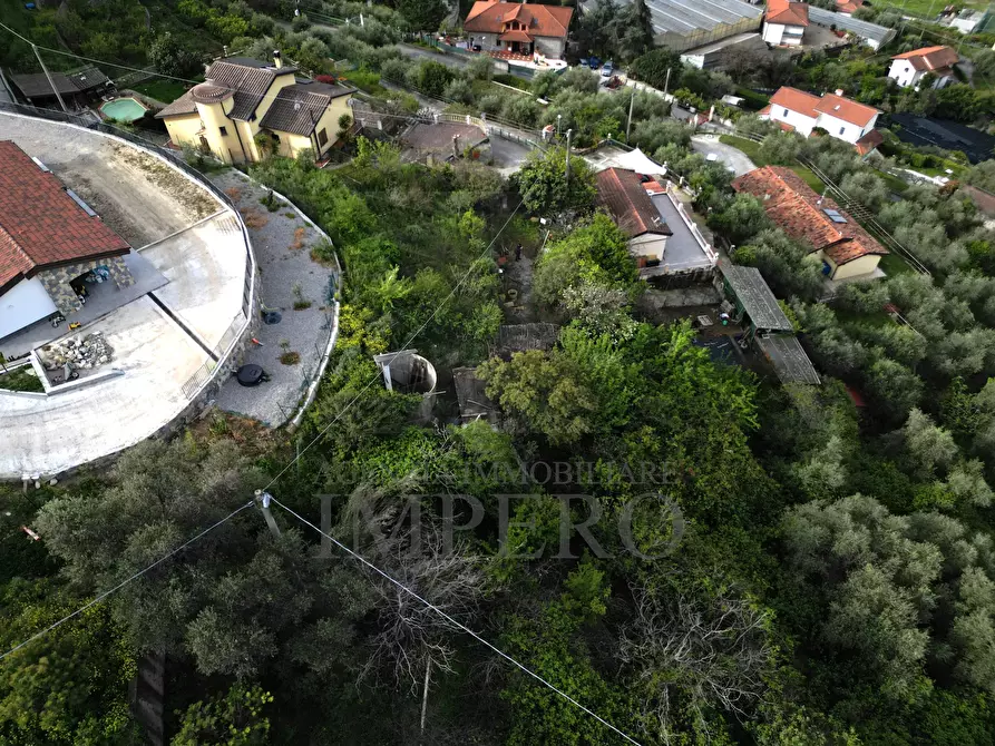 Immagine 10 di Terreno agricolo in vendita  in Strada San Sinforiano a San Biagio Della Cima