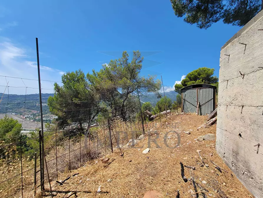 Immagine 28 di Casa indipendente in vendita  in Località Magauda 2 a Camporosso