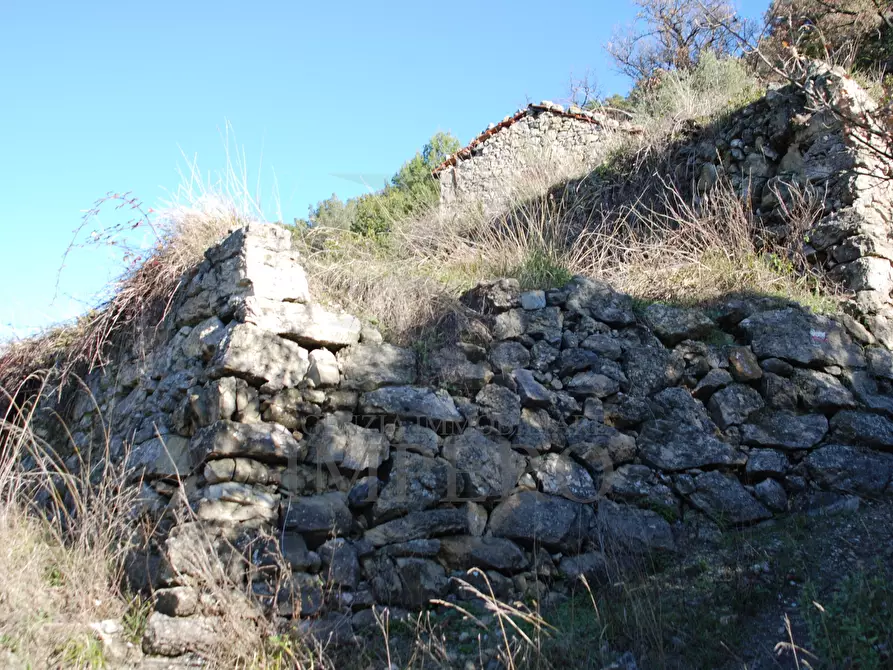 Immagine 8 di Terreno agricolo in vendita  in Via Case Gina 13 a Ventimiglia