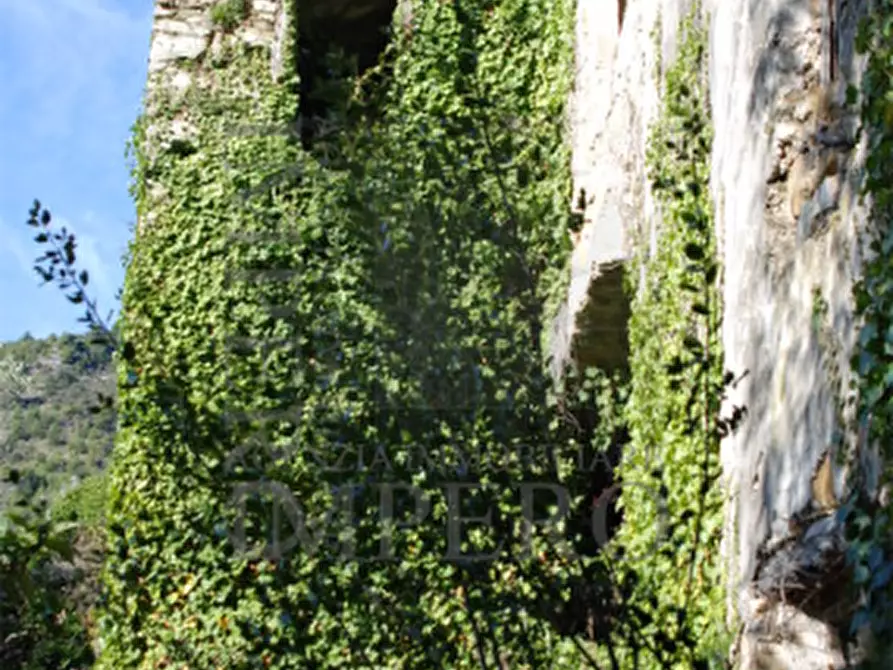 Immagine 4 di Terreno agricolo in vendita  in Via Case Gina 13 a Ventimiglia