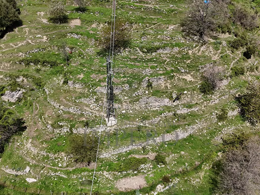 Immagine 40 di Casa indipendente in vendita  in Strada Provinciale 65 65 a Castel Vittorio