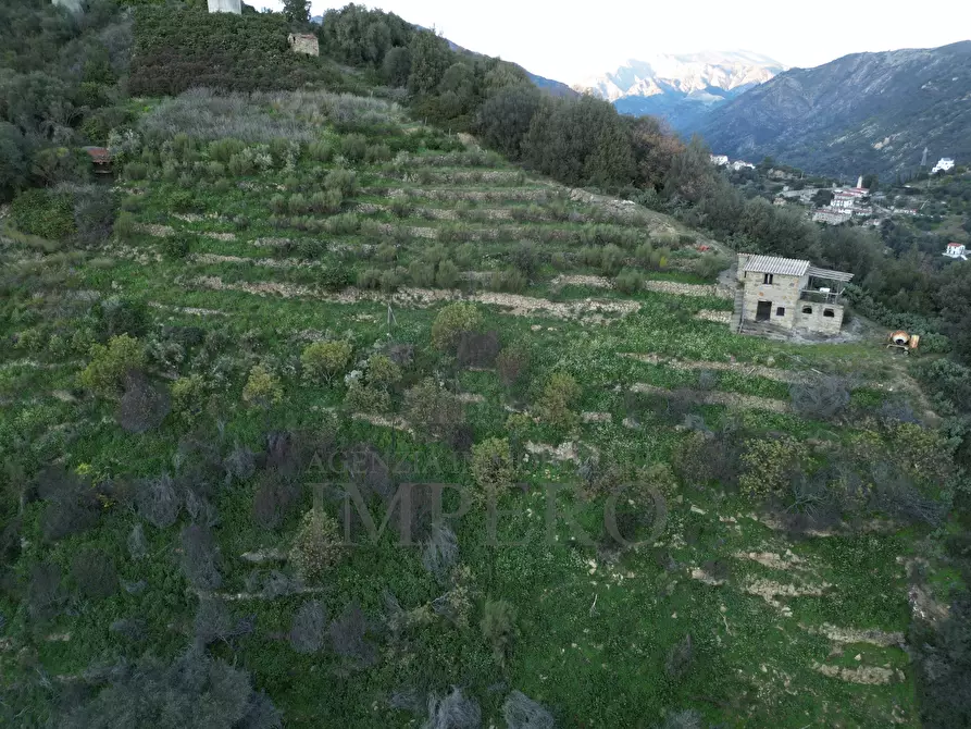 Immagine 2 di Terreno agricolo in vendita  in Via delle Otto Case 94 a Ventimiglia