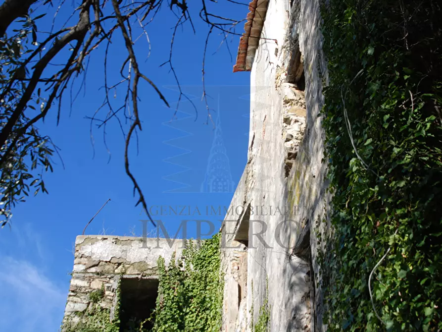 Immagine 13 di Terreno agricolo in vendita  in Via Case Gina 13 a Ventimiglia