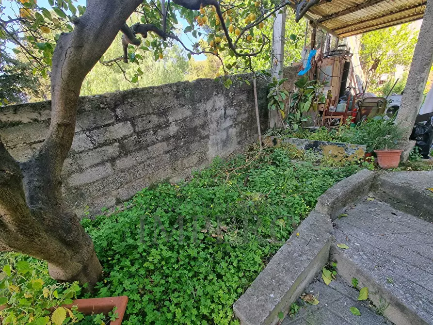 Immagine 28 di Porzione di casa in vendita  in Via Poggio Ponente 5 a Vallecrosia