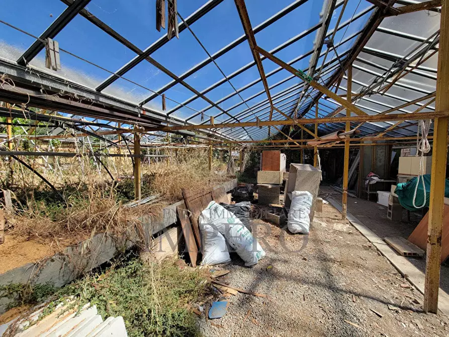 Immagine 13 di Magazzino in vendita  in Strada Statale 1 35 a Camporosso