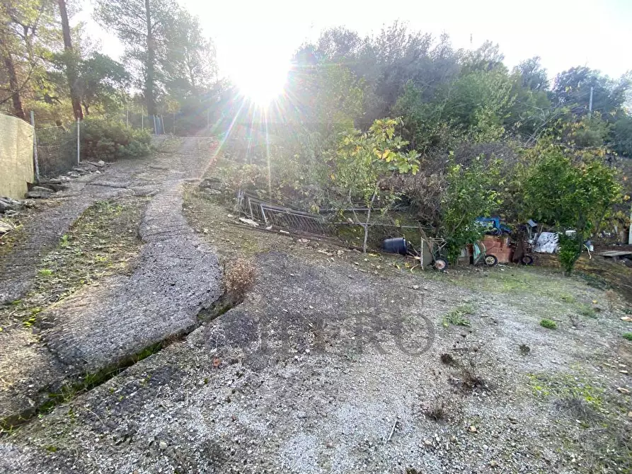 Immagine 20 di Casa indipendente in vendita  in Via Umberto Lorenzi a Ventimiglia