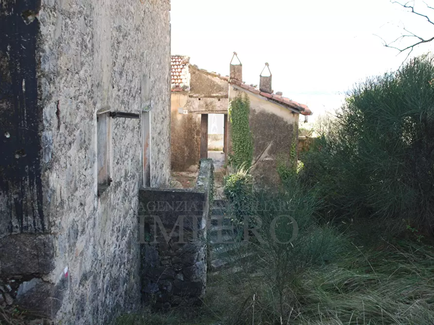 Immagine 10 di Terreno agricolo in vendita  in Via Case Gina 13 a Ventimiglia