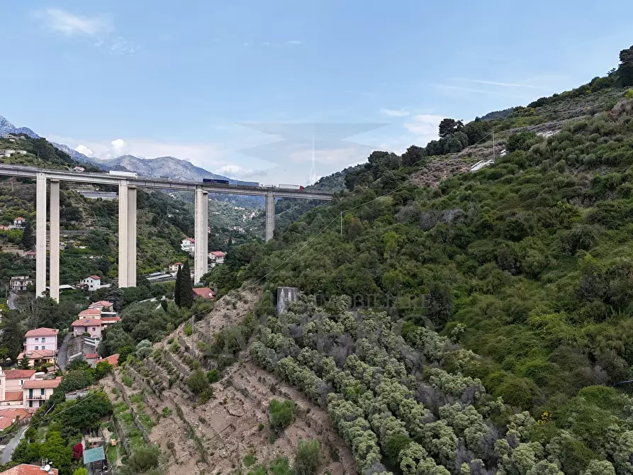 Immagine 15 di Terreno agricolo in vendita  in Via Anacleto Hughes 22/A a Ventimiglia