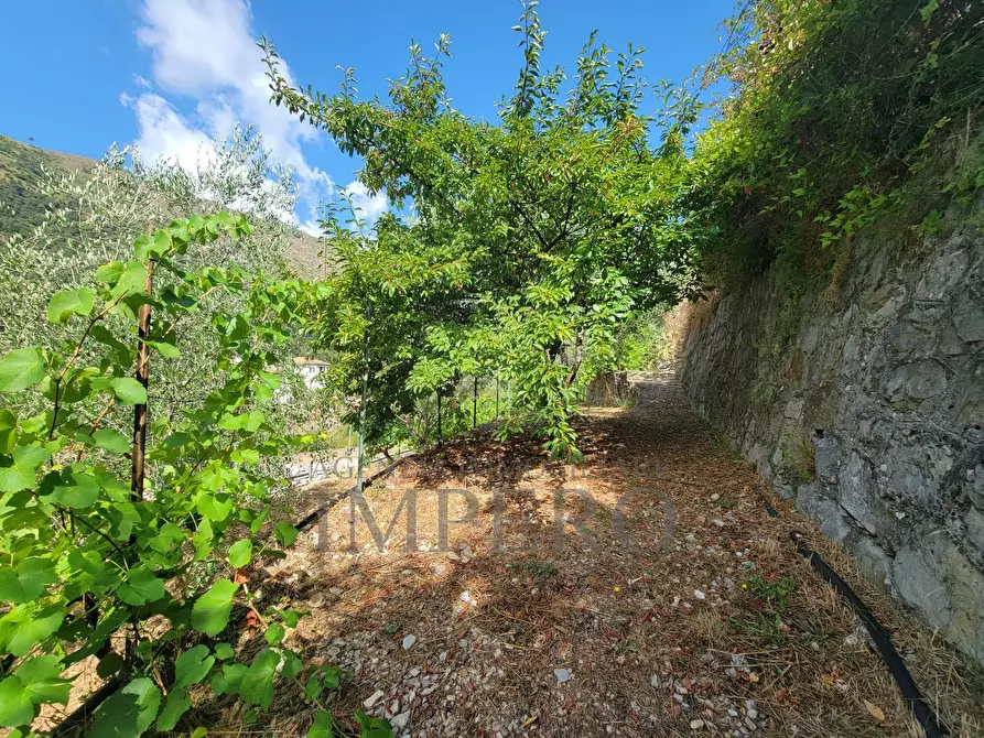 Immagine 65 di Casa bifamiliare in vendita  in Via Nazionale 8 a Airole