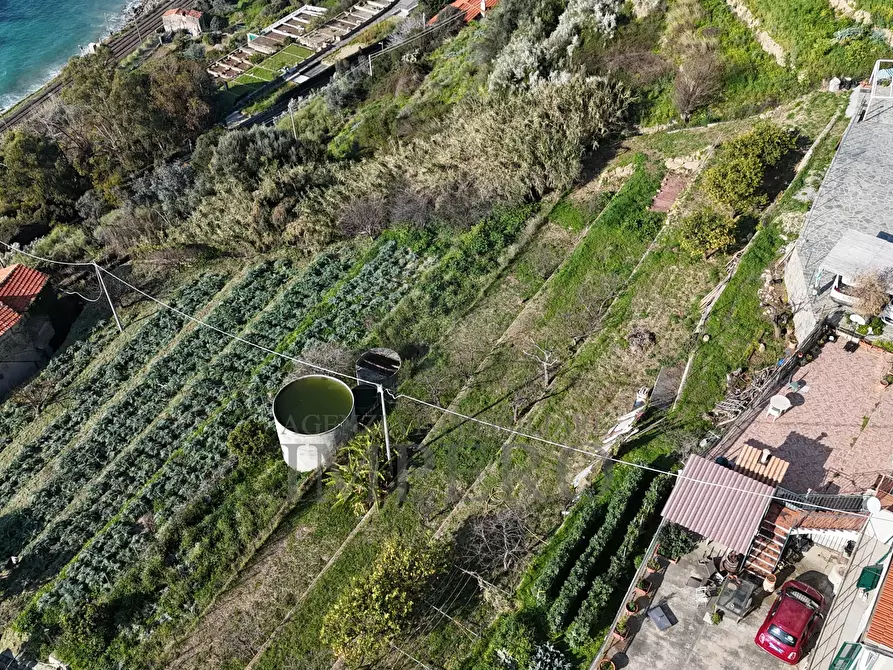 Immagine 13 di Porzione di casa in vendita  in Corso A. Toscanini 15 a Ventimiglia
