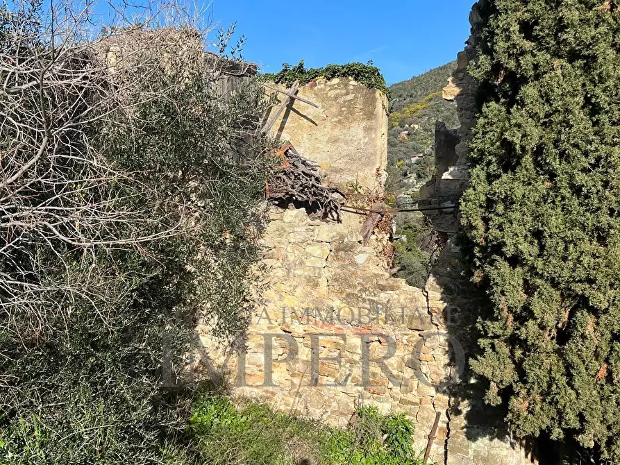 Immagine 32 di Villa in vendita  in via silvio peglio snc a Bordighera