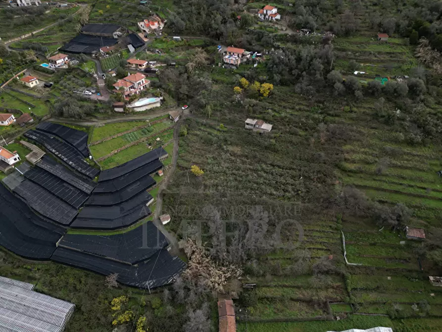Immagine 2 di Terreno agricolo in vendita  in SP59 39 a Vallecrosia