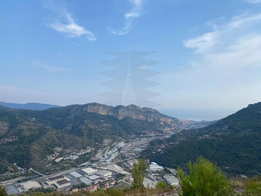 Immagine 16 di Terreno agricolo in vendita  in Via alla Stazione 40 a Ventimiglia