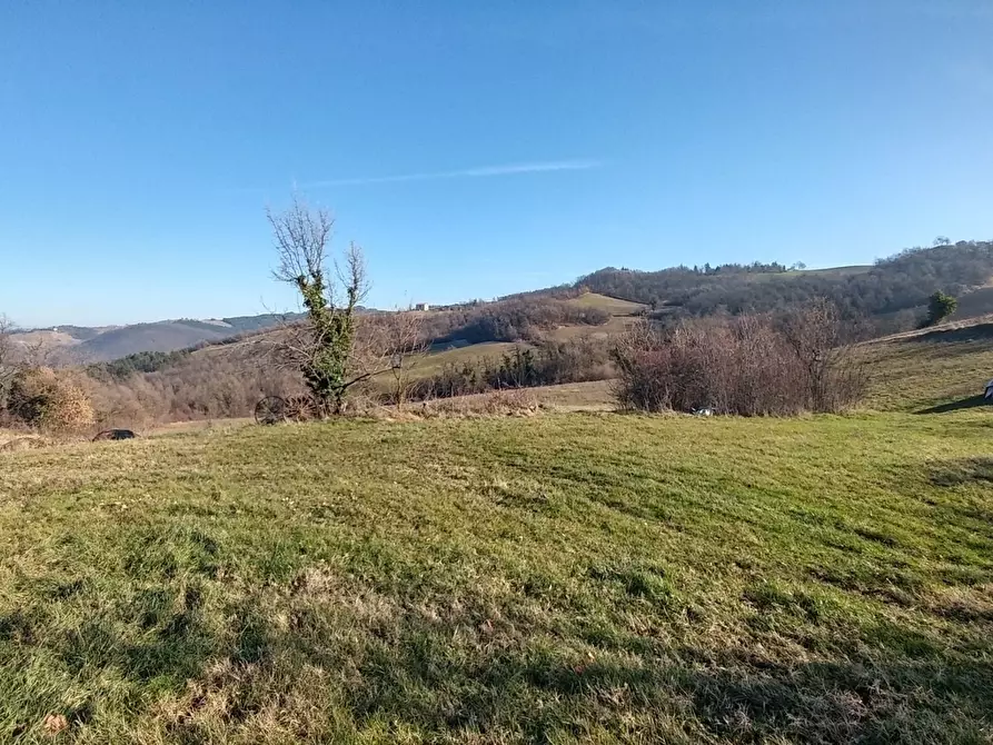 Immagine 4 di Rustico / casale in vendita  in Via della Pace 4 a Valsamoggia