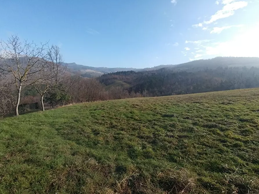 Immagine 33 di Rustico / casale in vendita  in Via della Pace 20 a Valsamoggia