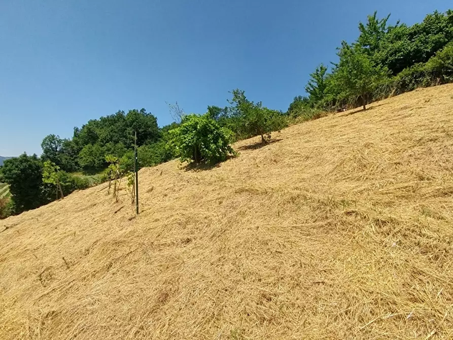 Immagine 36 di Rustico / casale in vendita  in Via Roma 31 a Zocca