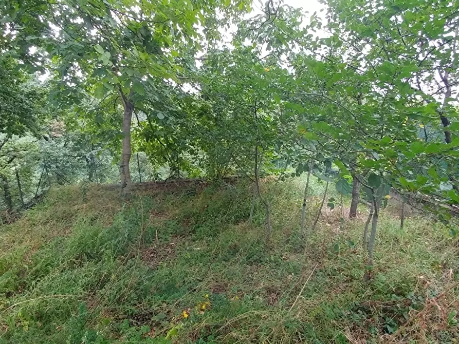 Immagine 7 di Porzione di casa in vendita  in Via Castello 35 a Zocca