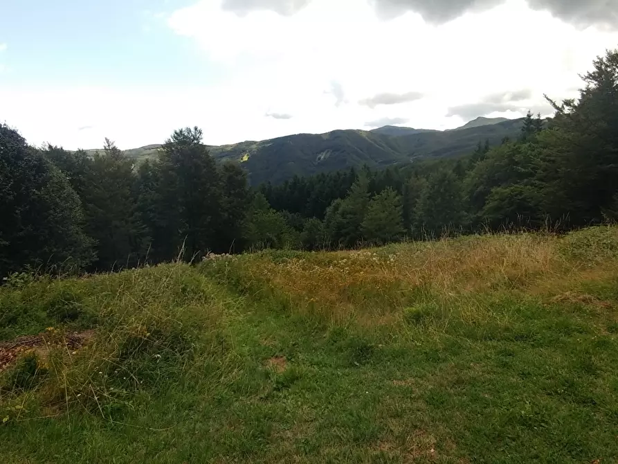 Immagine 33 di Rustico / casale in vendita  in Via Cà Zucchi 1294 a Fanano