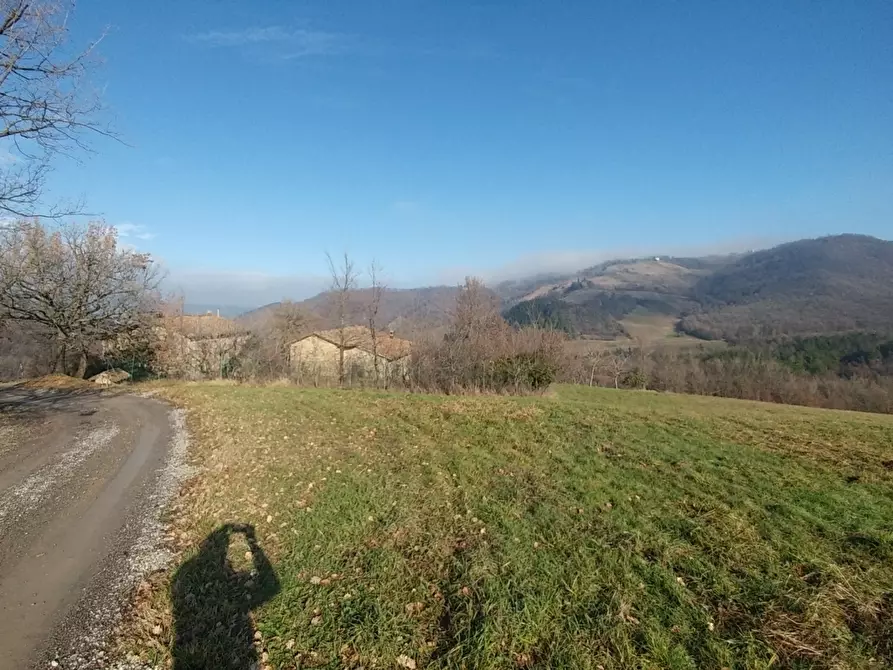 Immagine 3 di Rustico / casale in vendita  in Via della Pace 20 a Valsamoggia