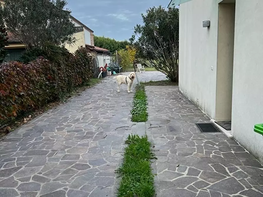 Immagine 38 di Villa in vendita  a Rovigo