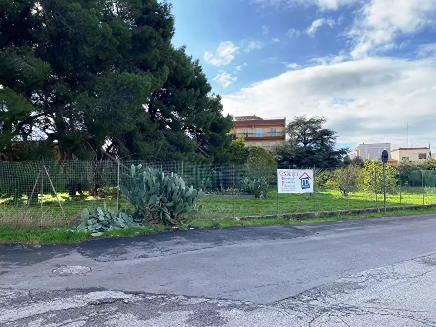 Immagine 3 di Terreno agricolo in vendita  in Via Vito Donato Bianco a Sammichele Di Bari