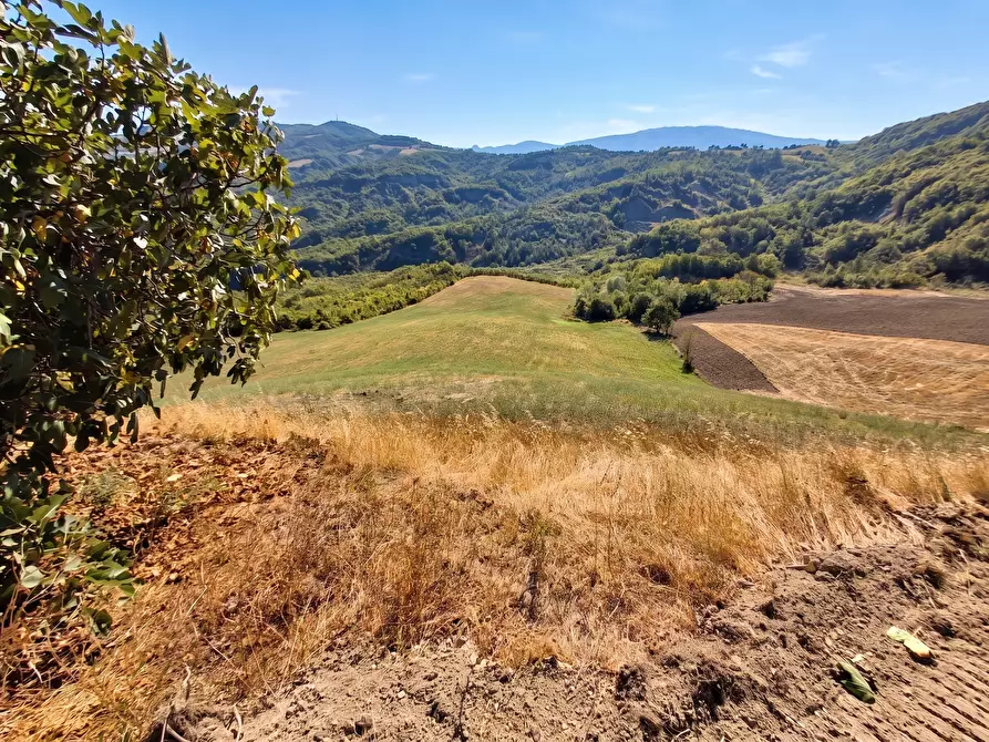 Immagine 18 di Terratetto in vendita  in Località Pereto Ville 12 a Sant'agata Feltria