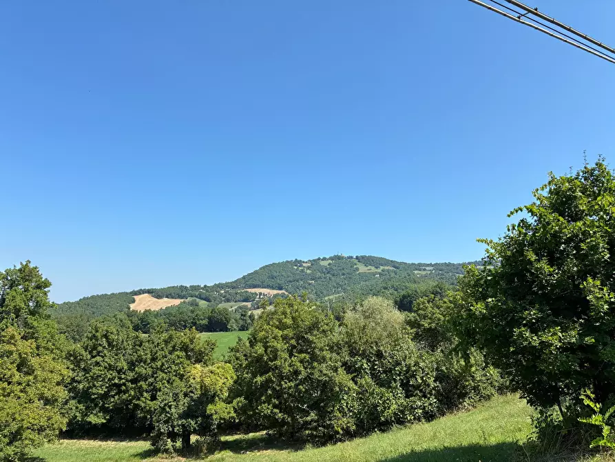 Immagine 2 di Terreno agricolo in vendita  in Località Antico Alto 48 a Maiolo