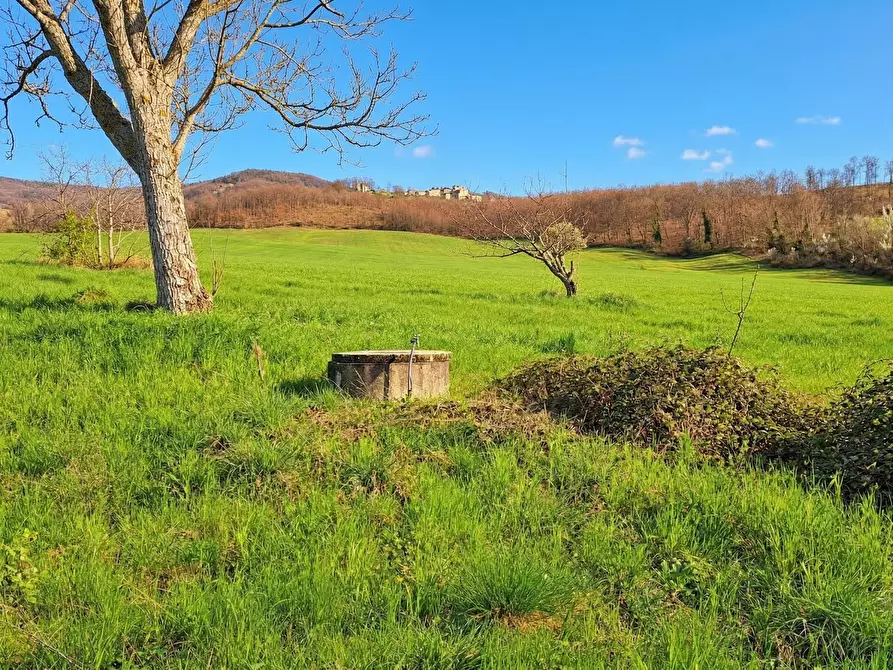 Immagine 18 di Terratetto in vendita  in Via Monte 21 a San Leo