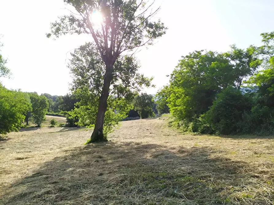 Immagine 46 di Rustico / casale in vendita  in SP258 2 a Pennabilli