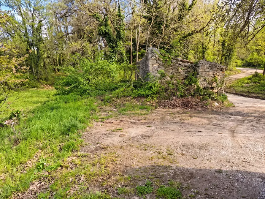Immagine 7 di Rustico / casale in vendita  in Località Valle 6 a Sant'agata Feltria