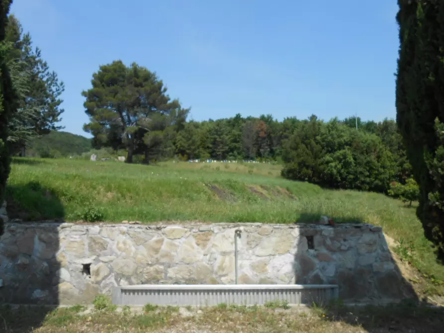 Immagine 19 di Rustico / casale in vendita  in Via per massaciuccoli a San Giuliano Terme