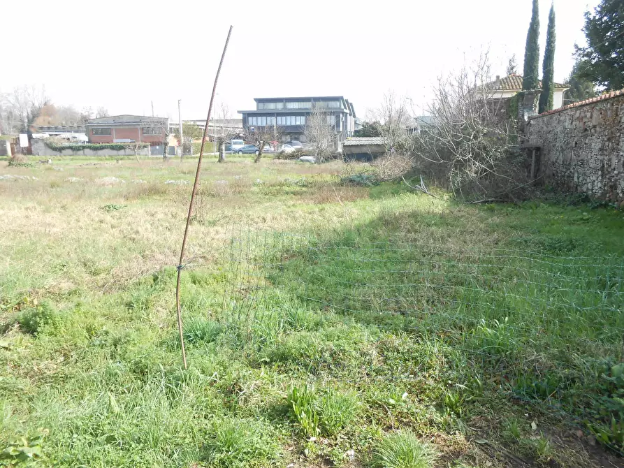 Immagine 15 di Terreno agricolo in vendita  in Via San Donato 925/A a Lucca