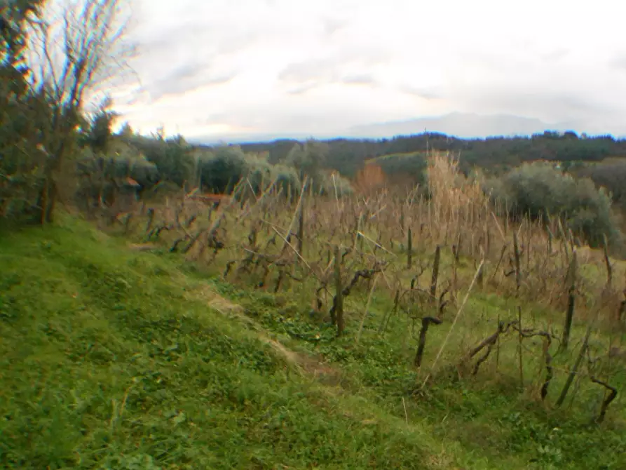 Immagine 4 di Rustico / casale in vendita  in bocconi a Lucca