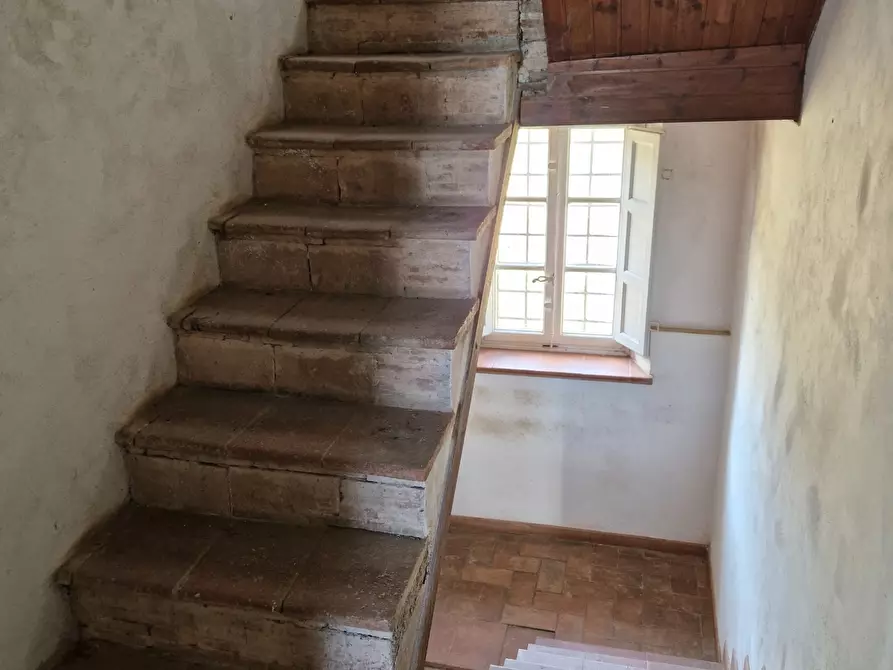 Immagine 57 di Rustico / casale in vendita  in Via Vecchia di Nozzano a Lucca