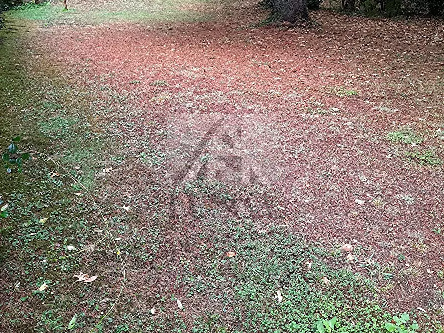 Immagine 34 di Villa in vendita  in Via di Villa Altieri 1179/A a Lucca