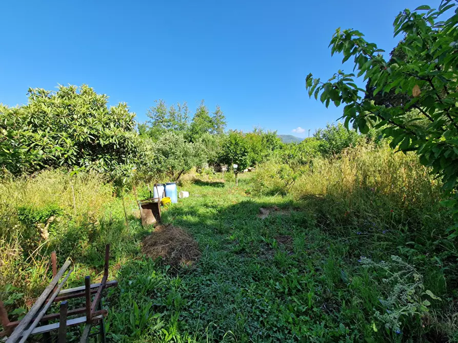 Immagine 8 di Terreno agricolo in vendita  in Via Giovanni Fattori a San Giuliano Terme