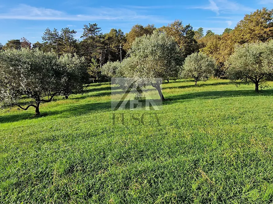 Immagine 3 di Villa in vendita  in Via di Sant'Alessio a Lucca