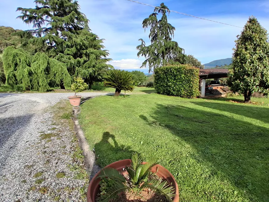 Immagine 12 di Villa in vendita  in via vecchia i a Lucca