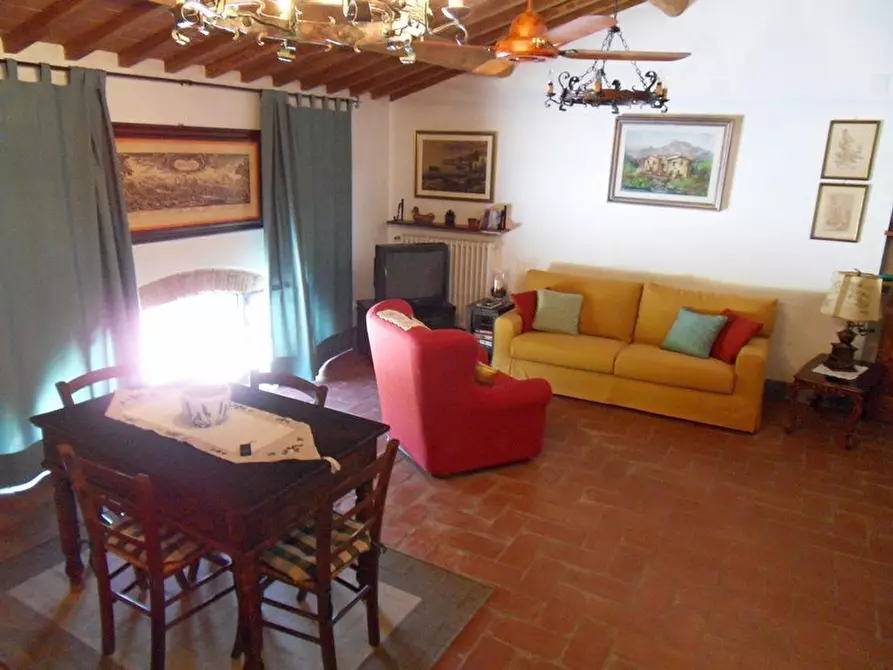 Immagine 3 di Rustico / casale in vendita  in Via per massaciuccoli a San Giuliano Terme