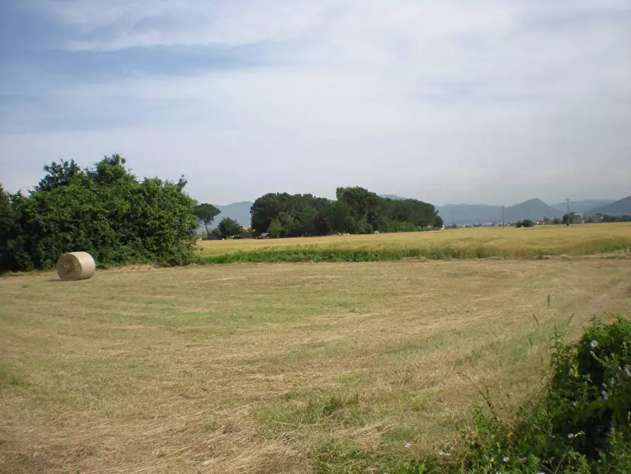 Immagine 1 di Terreno agricolo in vendita  in Via Carrara a Capannori