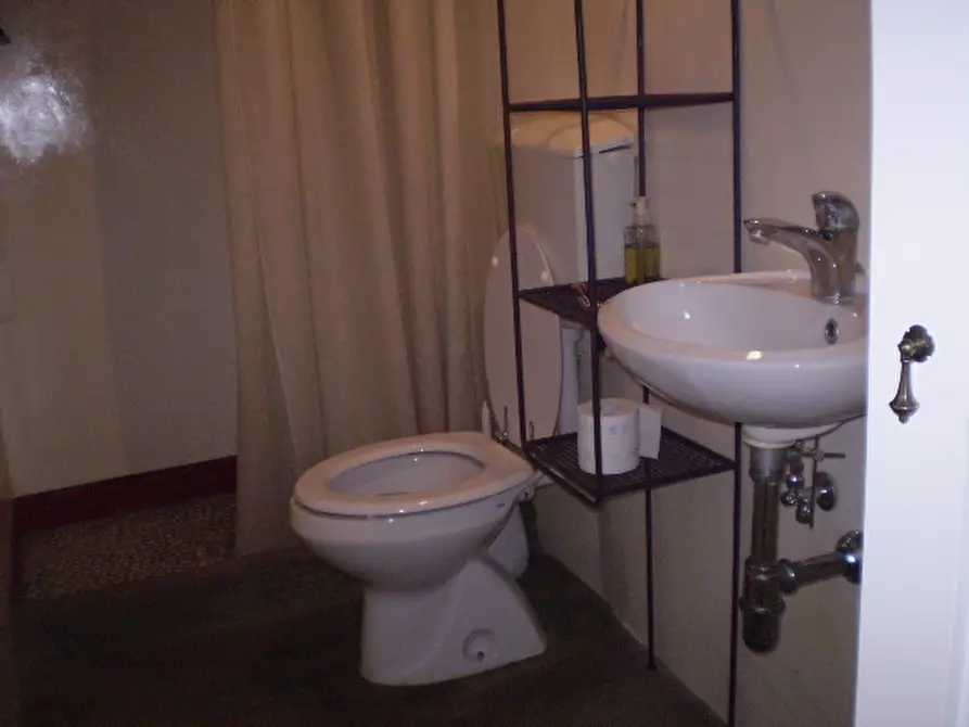 Immagine 5 di Capannone industriale in affitto  in Via Roma a Lucca