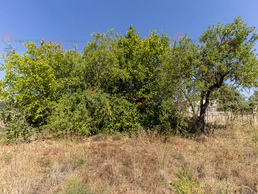 Immagine 9 di Rustico / casale in vendita  a Priolo Gargallo