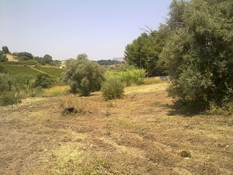 Immagine 6 di Terreno agricolo in vendita  a Siracusa